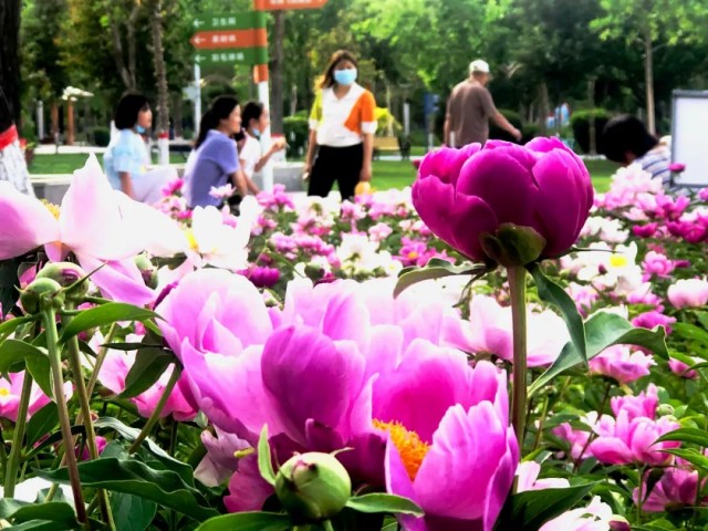 微信圖片_20220516114720.jpg