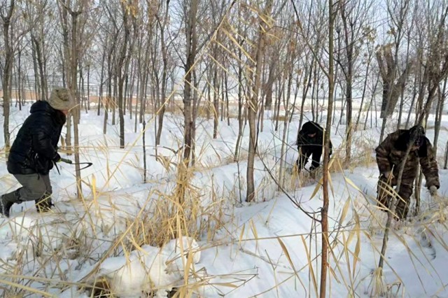雜草清割現(xiàn)場_副本.jpg